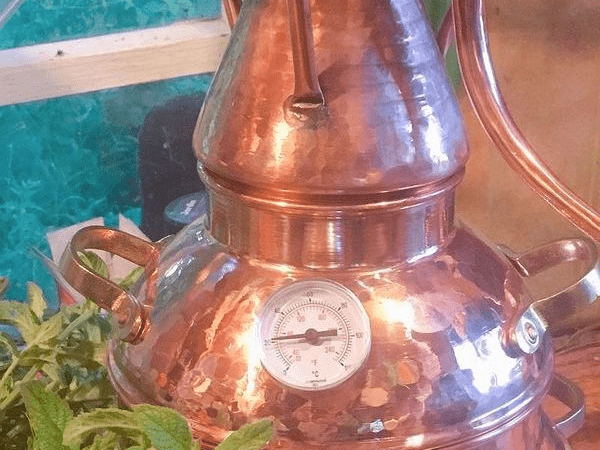 сделать гидролат