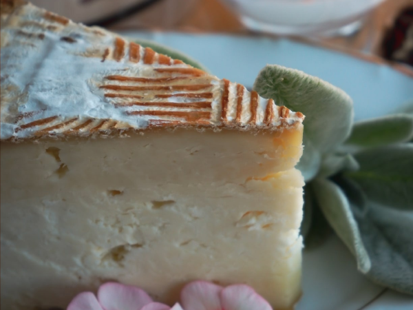 домашняя сыроварня