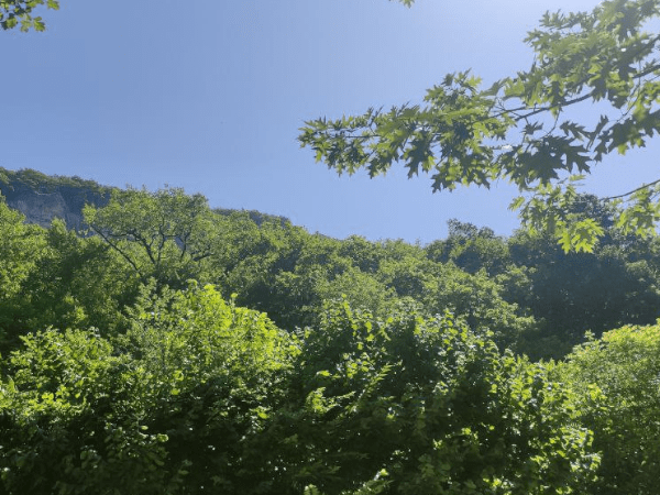 гостевой дом в предгорьях Адыгеи