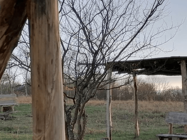 крот новосвободный - семейный досуг в Адыгее