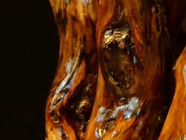 интерьерный ночник из дерева