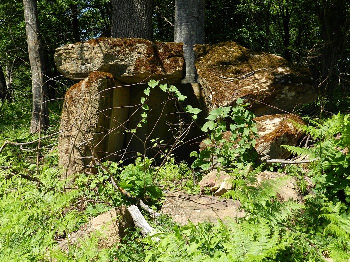 Скопление дольменов рядом со станицей Новосвободная