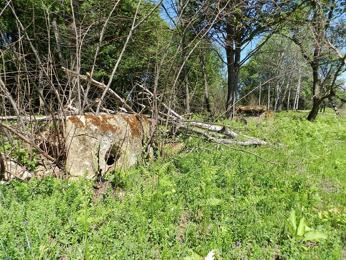 дольмены у станицы Новосвободная