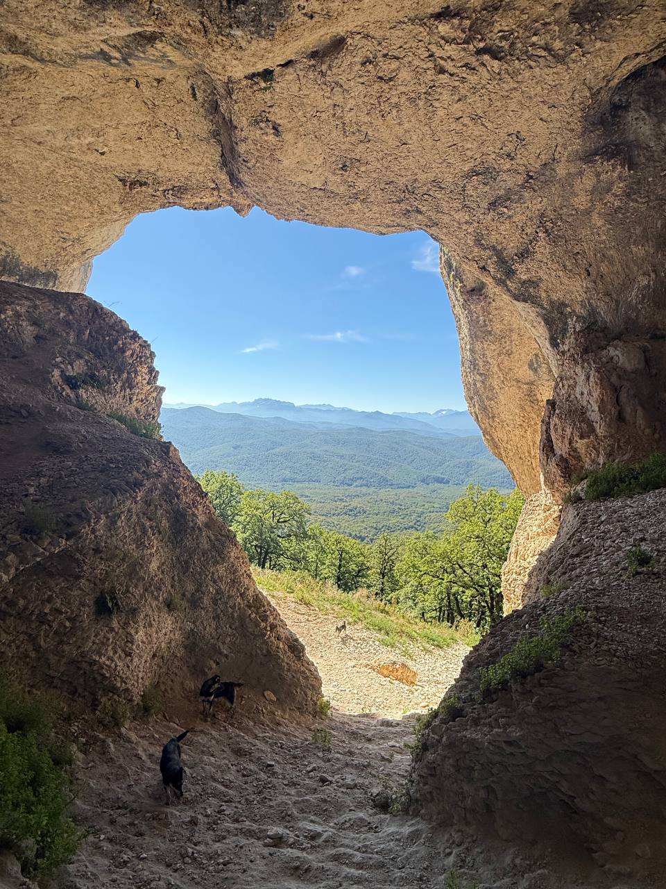 Мегалиты у станицы Новосвободная
