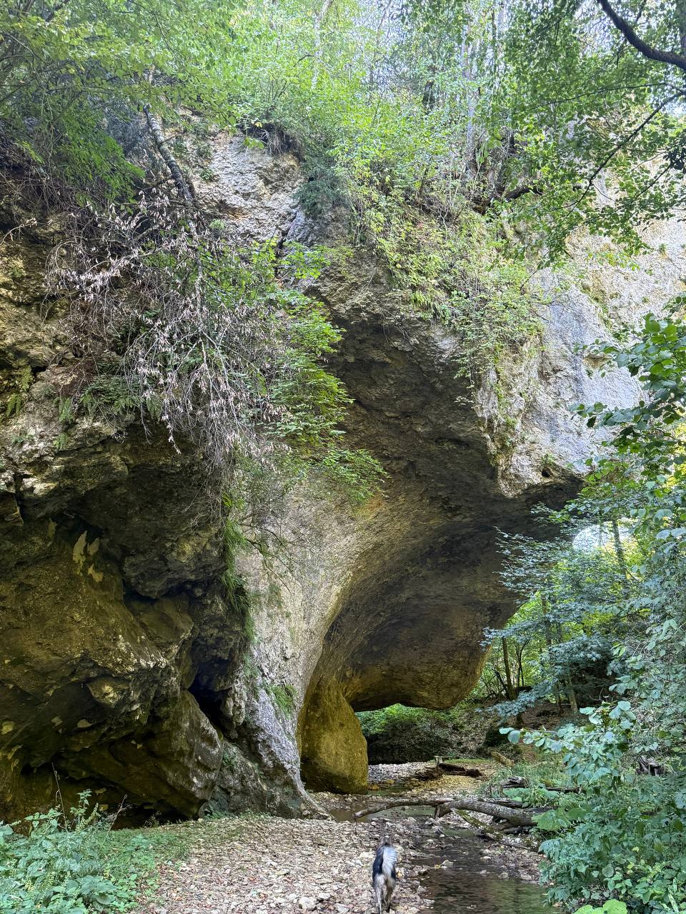 Мегалиты у станицы Новосвободная