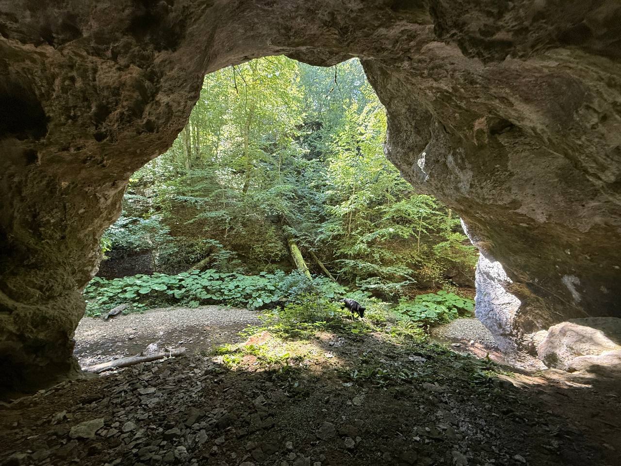 курганы «Клады»