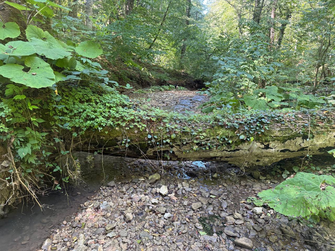 курганы «Клады»