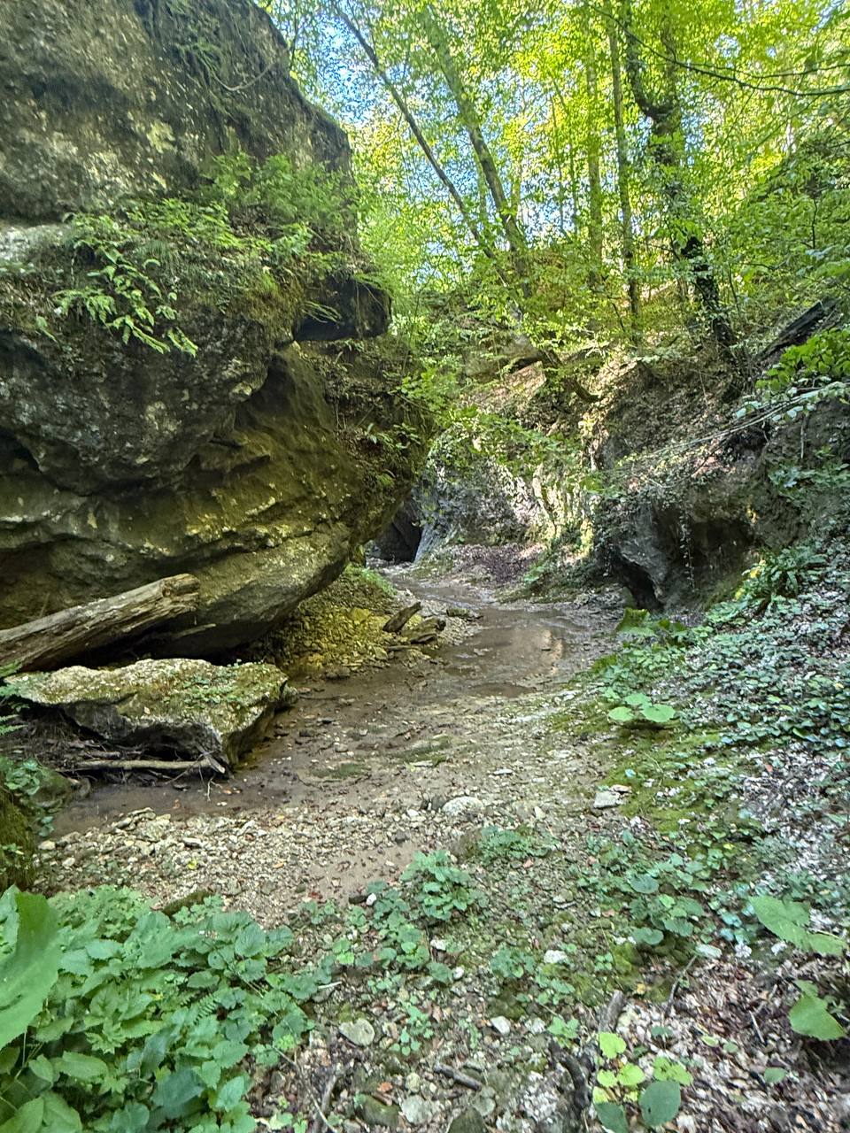 Мегалиты у станицы Новосвободная