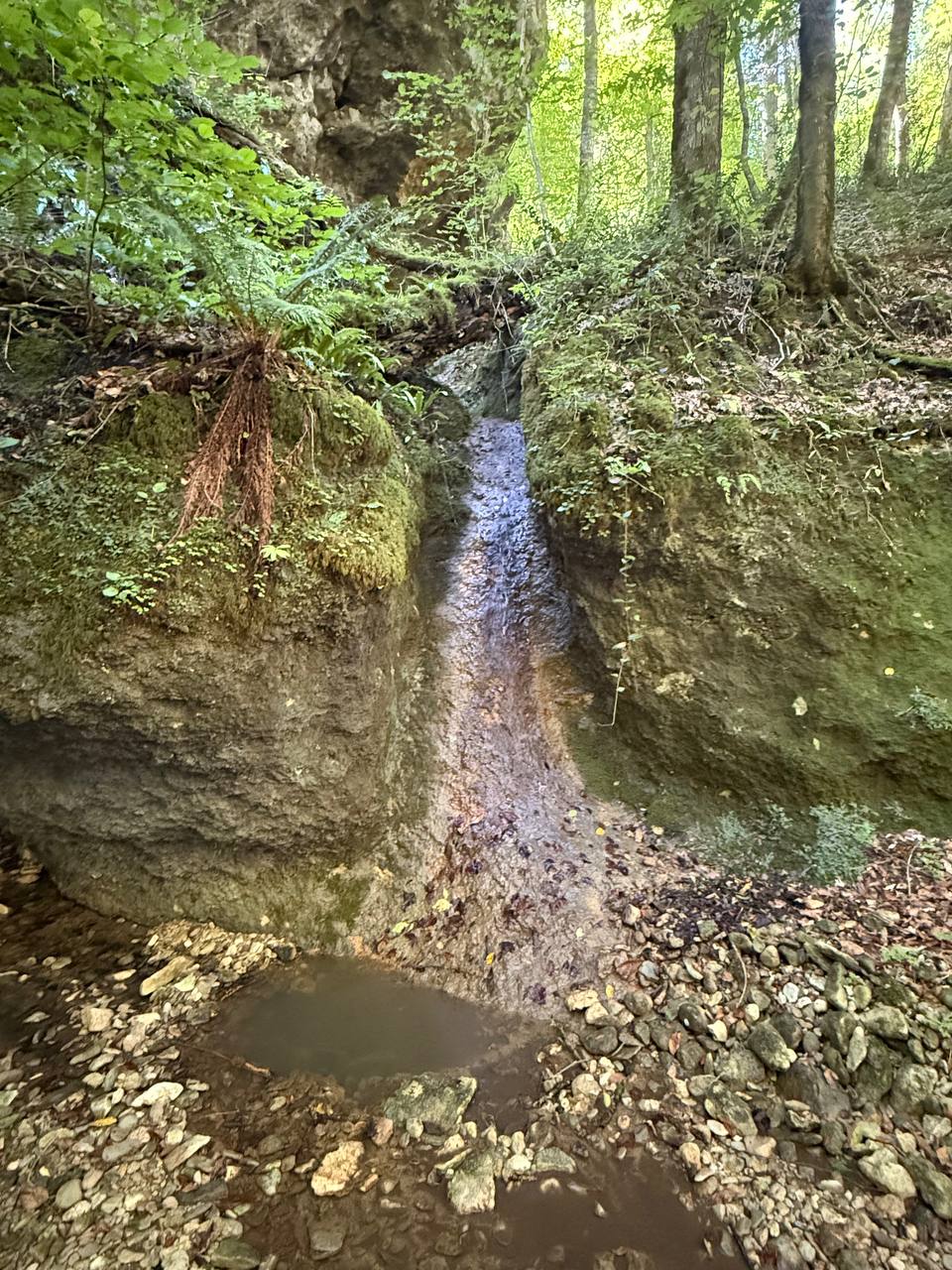 курганы «Клады»