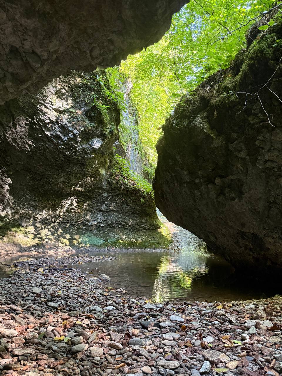 курганы «Клады»