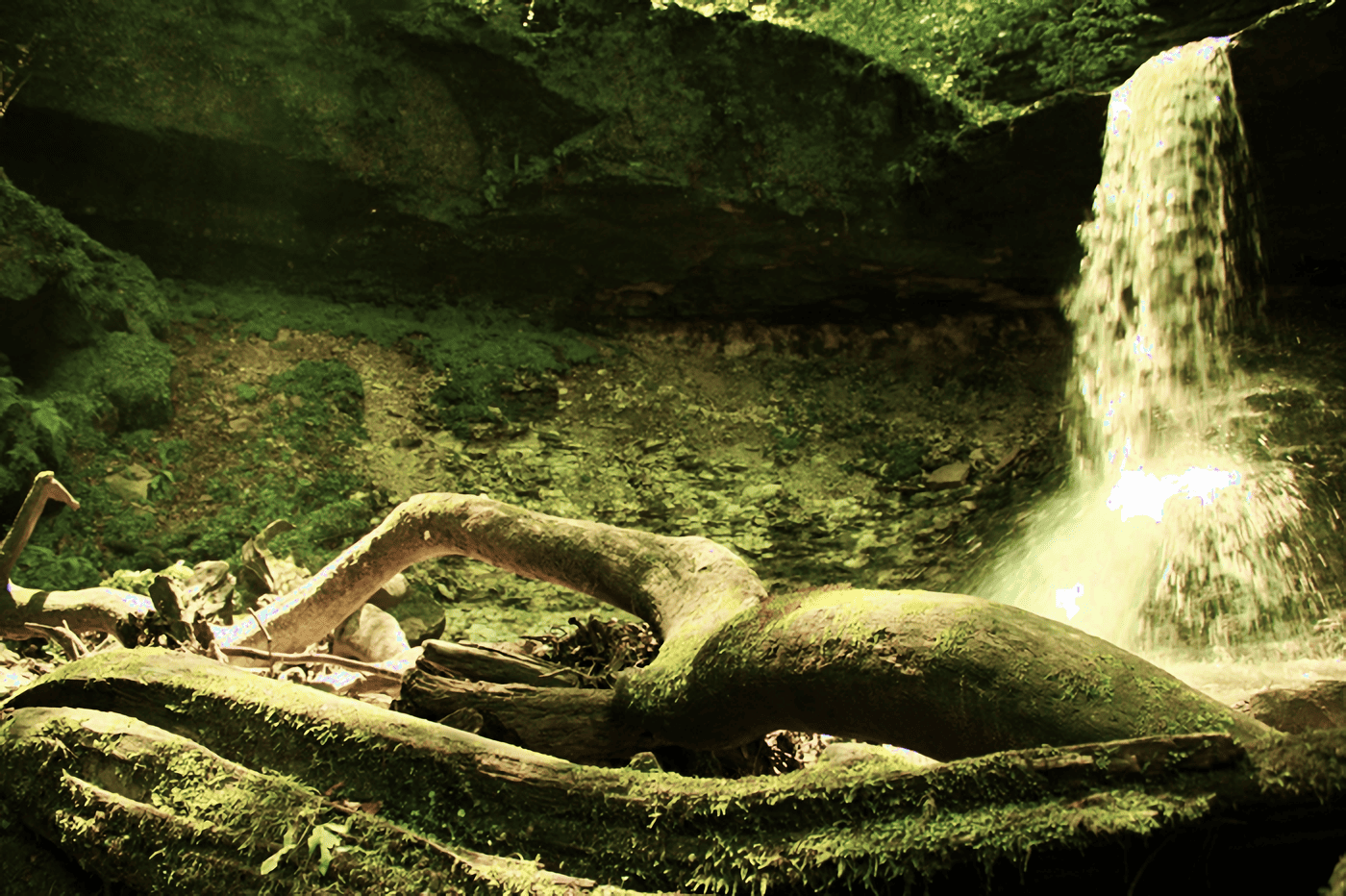 Верховья реки