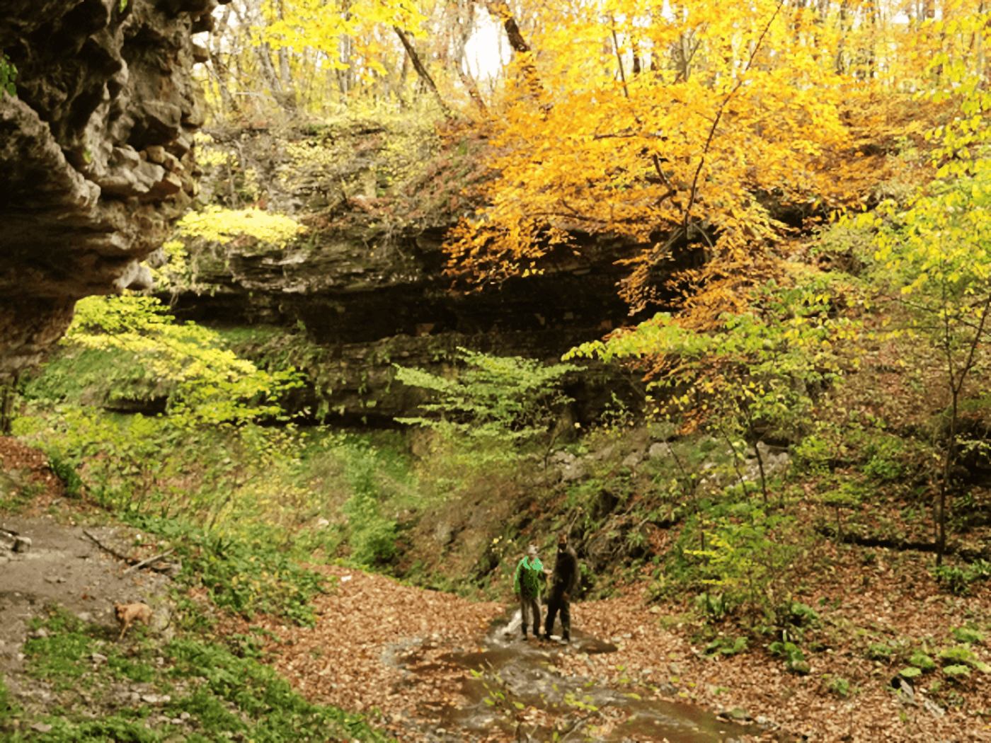 осенний каньон